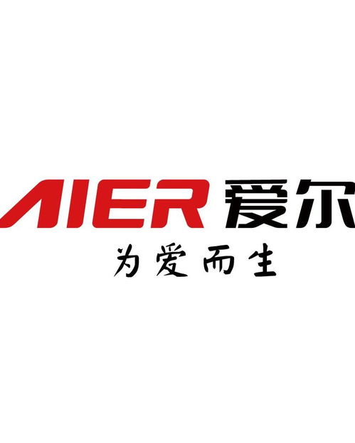 广东爱尔电器