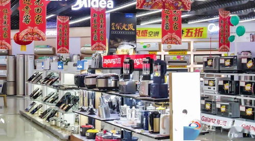 春节热销 小家电产品引领消费新潮流